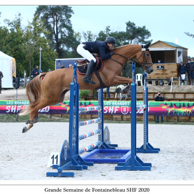 FOLIE D'HELBY